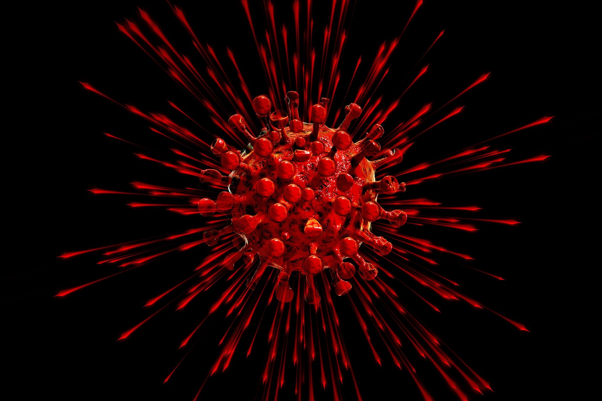 Visualization of corona virus using 3D software